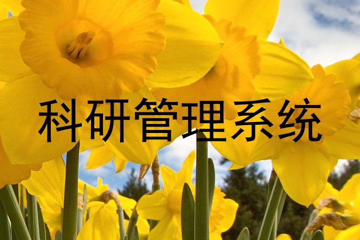 科研管理系统