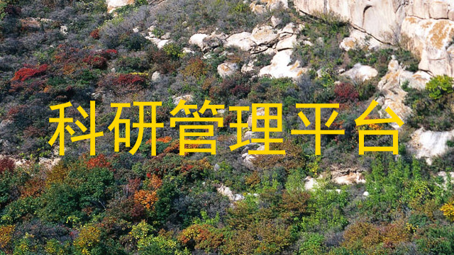 科研管理平台