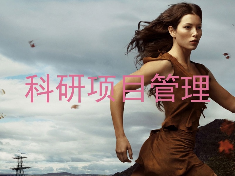 科研项目管理