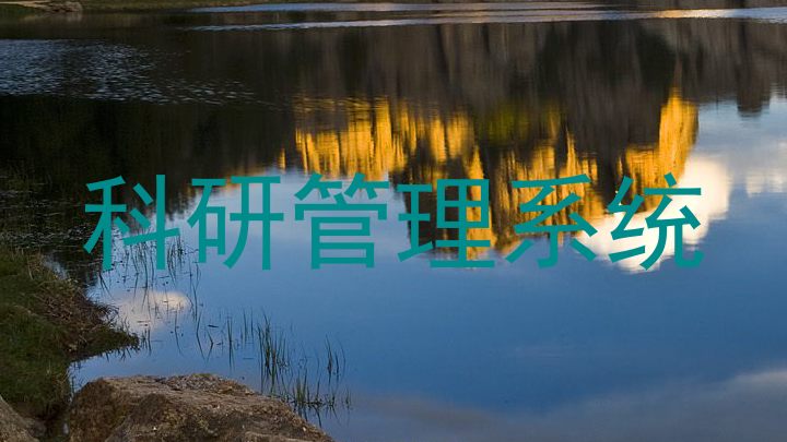 科研管理系统