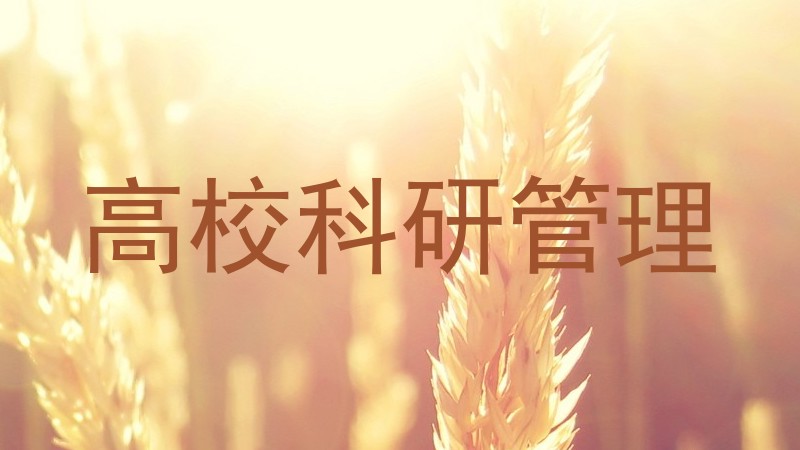 高校科研管理