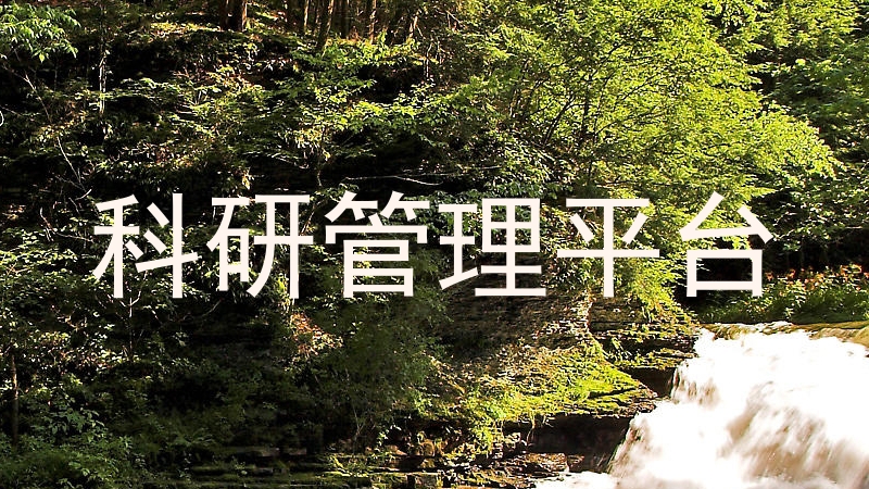 科研管理平台
