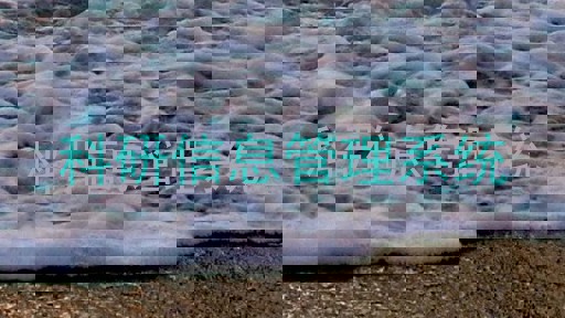 科研信息管理系统