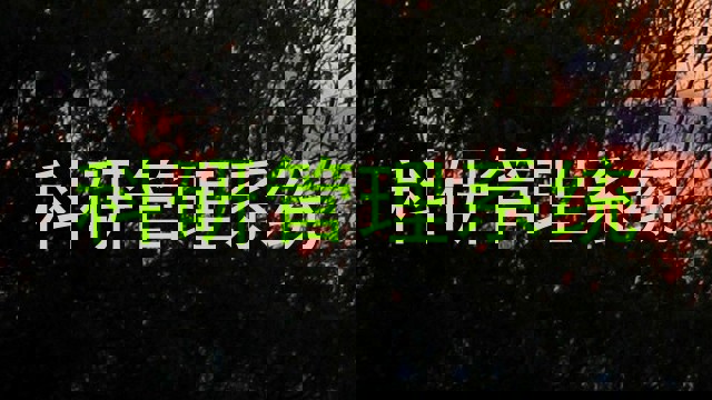 科研管理系统