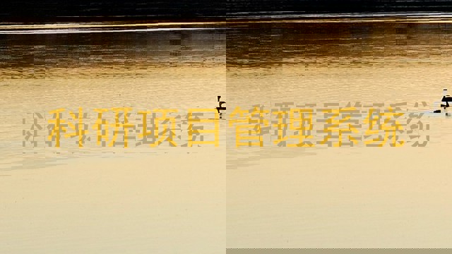 科研项目管理系统