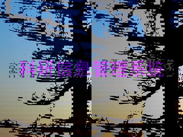 科研信息管理系统