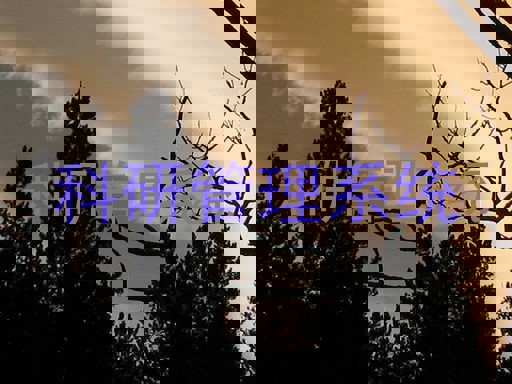 科研管理系统