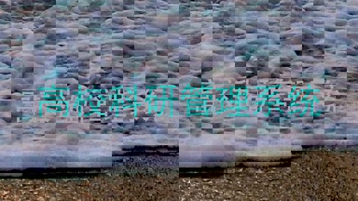 高校科研管理系统