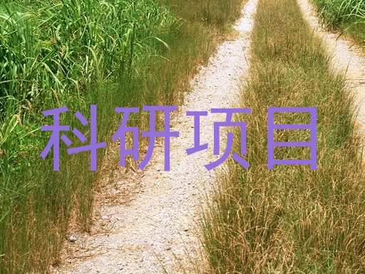 科研项目