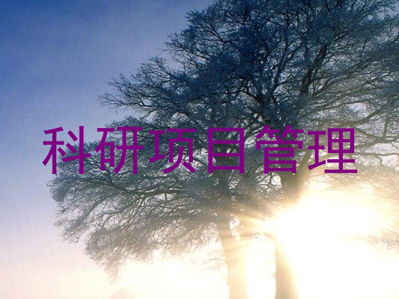 科研项目管理