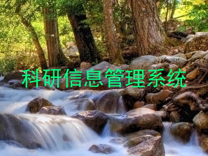 科研信息管理系统