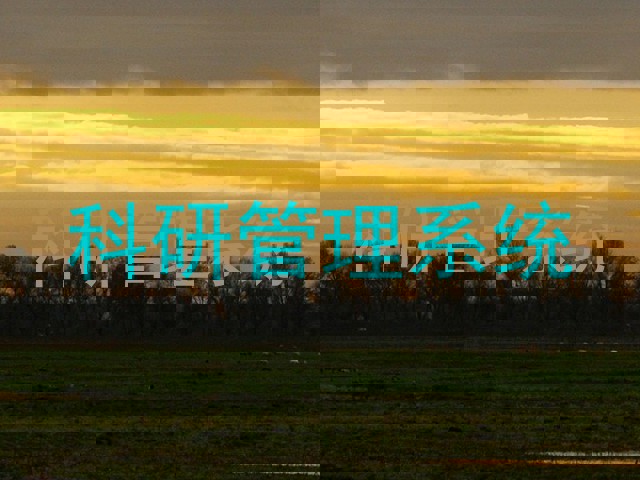 科研管理系统