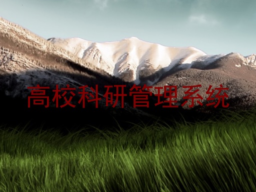 高校科研管理系统