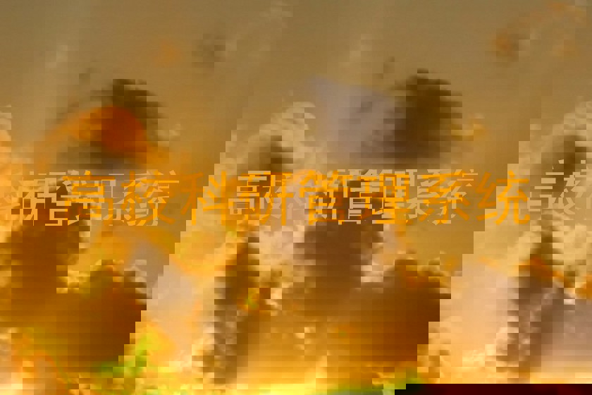 高校科研管理系统