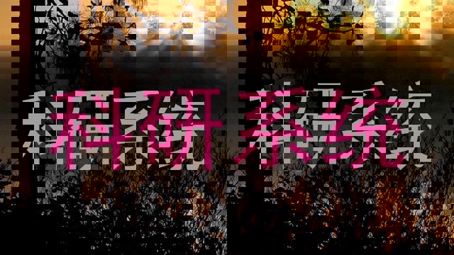 科研系统