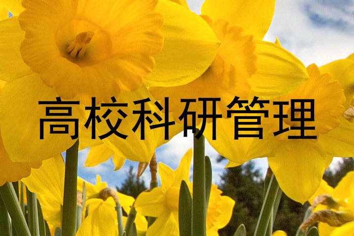 高校科研管理