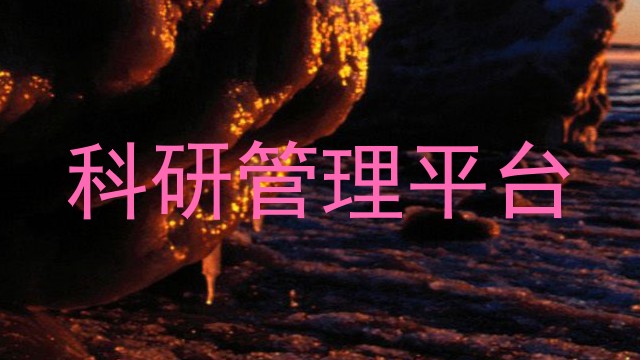 科研管理平台