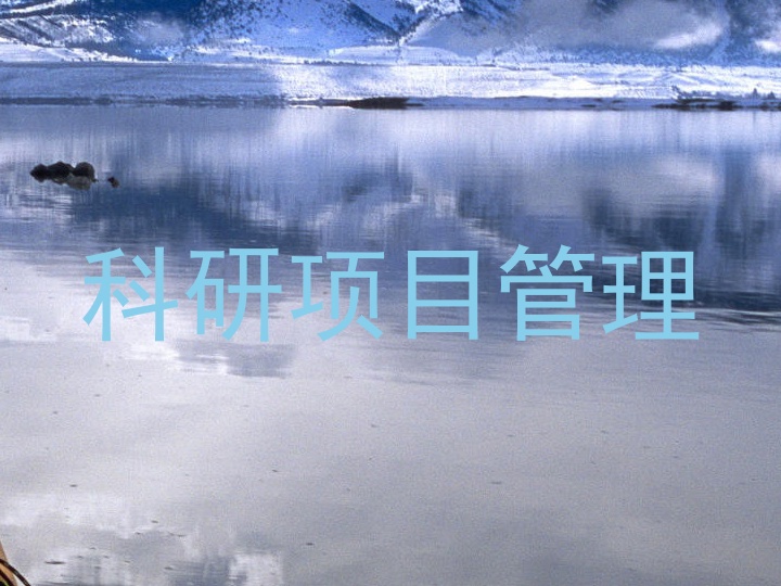 科研项目管理