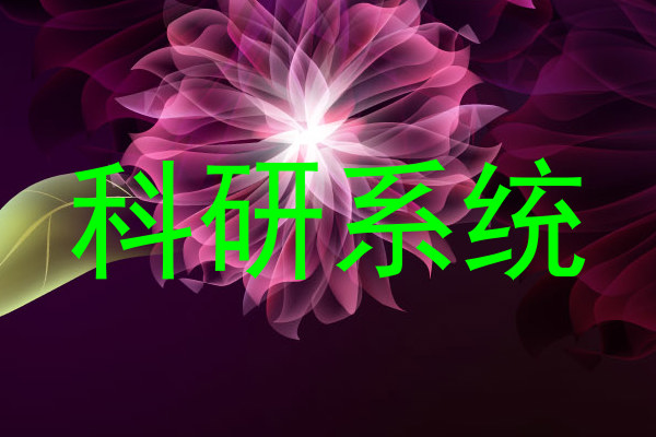 科研系统