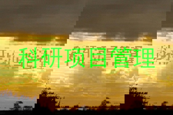 科研项目管理