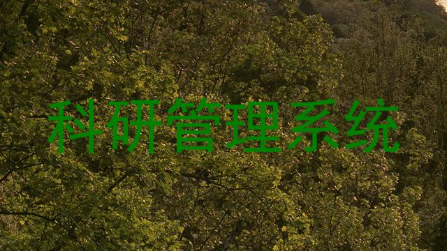 科研管理系统