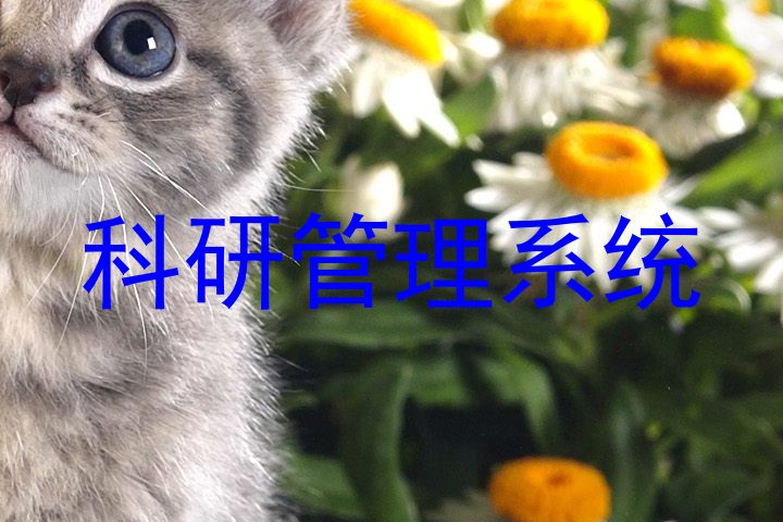 科研管理系统