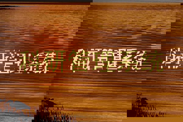 科研管理系统