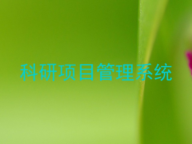 科研项目管理系统