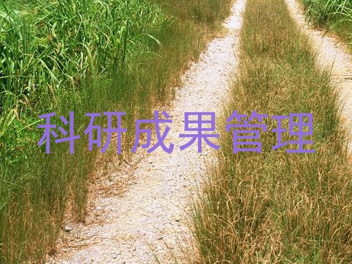 科研成果管理