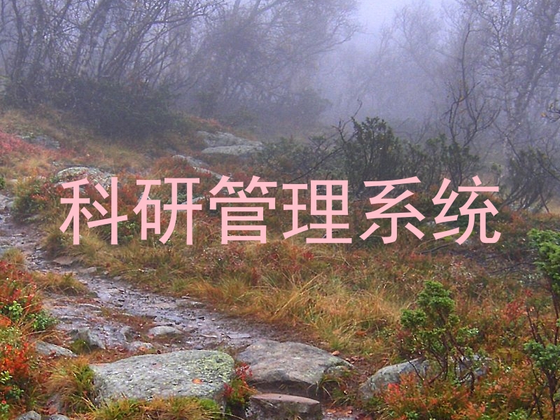 科研管理系统