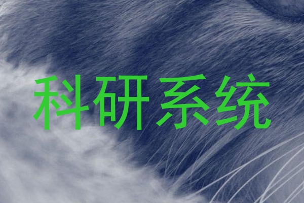 科研系统
