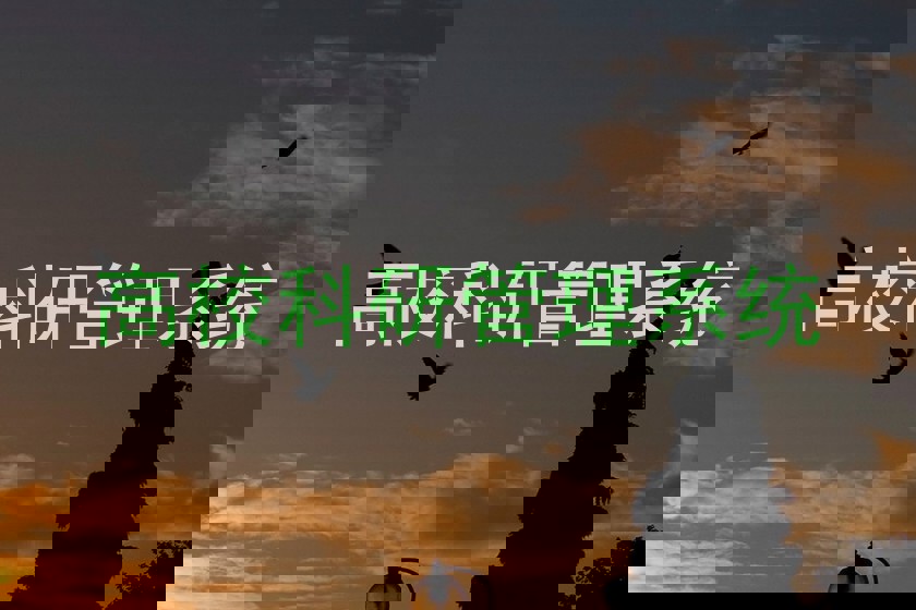 高校科研管理系统