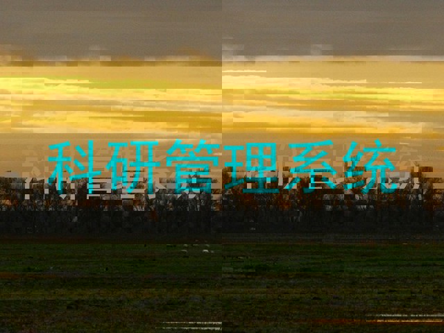 科研管理系统