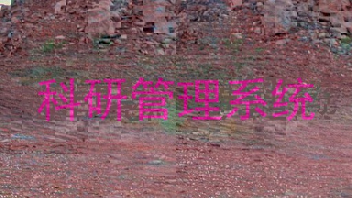 科研管理系统