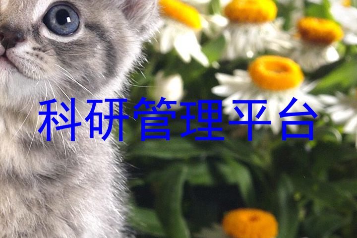 科研管理平台