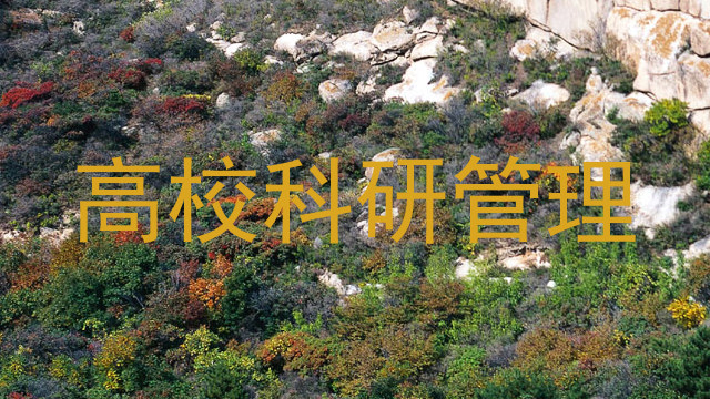 高校科研管理