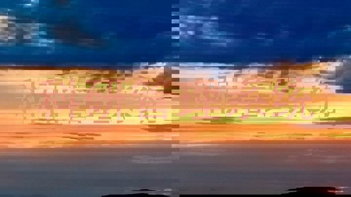 科研管理系统