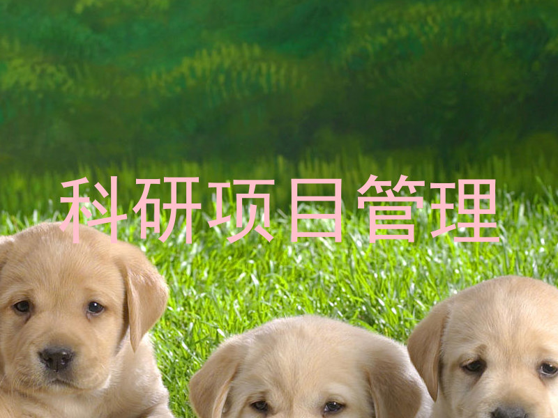 科研项目管理