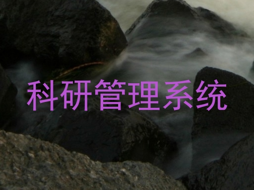 科研管理系统