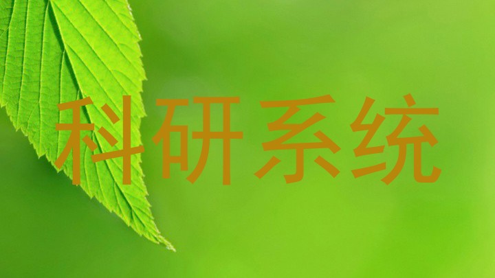 科研系统