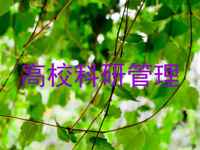高校科研管理