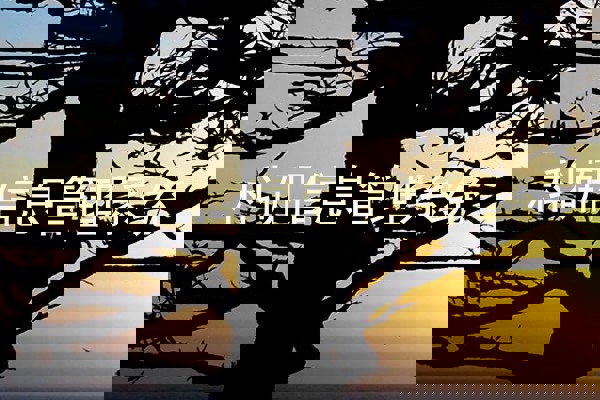 科研信息管理系统