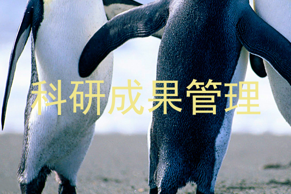 科研成果管理