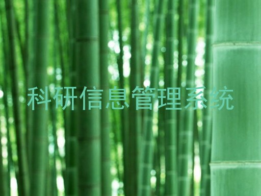 科研信息管理系统