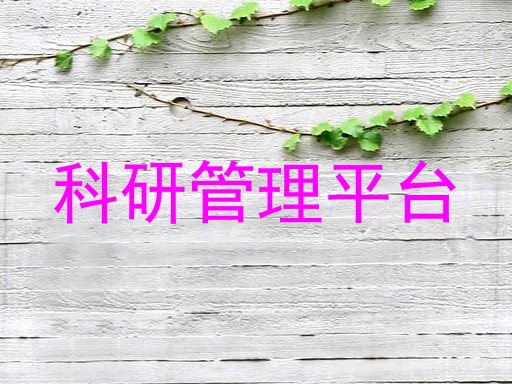 科研管理平台