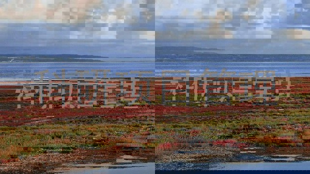 科研项目管理