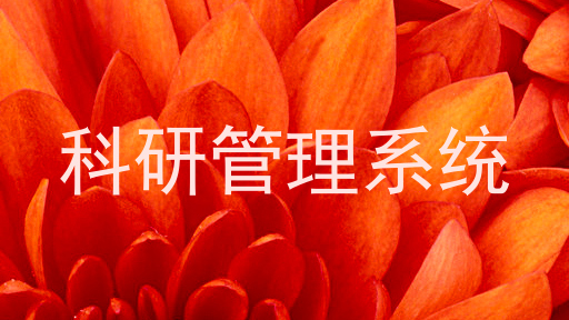 科研管理系统