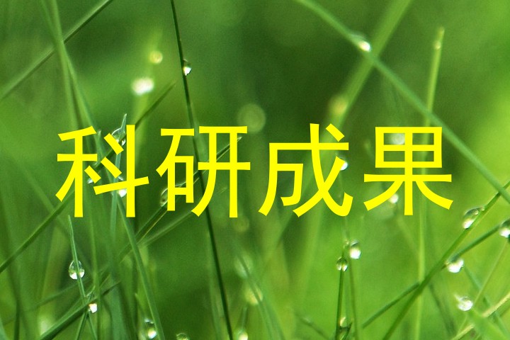 科研成果
