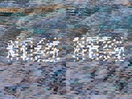 科研系统