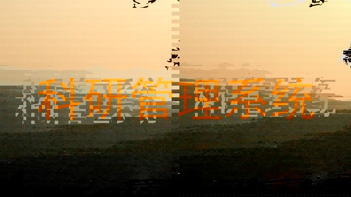 科研管理系统